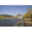 Early Bird GERMAN MAJOR LEIPZIG Caggtus Kill Team Ticket...