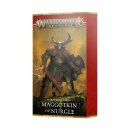 Maggotkin of Nurgle - Warscroll Cards (English)