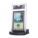 MtG - 1999 Magic - Guru Land Set - AOG NM-MINT