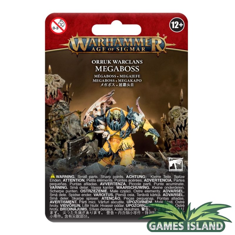 Ironjawz Orruk Warchanter Warhammer Aos Age of Sigmar Pro Painted Miniature  Custom Order 