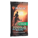 Zendikar Rising Set Booster Box - English