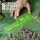 Green Stuff World - Gaming Measuring Tool - Fluor Lime Green 8 inches