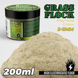 Green Stuff World - Static Grass Flock 2-3mm - HAYFIELD GRASS - 200 ml