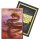 Dragon Shield - Japanese Size Dual Matte Art Sleeves - Wood Dragon 2024 (60 Sleeves)