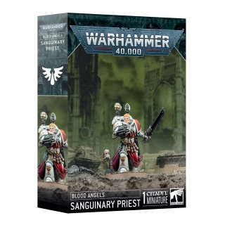 Blood Angels - Sanguinary Priest